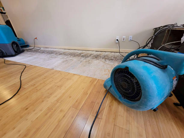 Professional Flood Damage Cleanup technician working in Delmar, MD